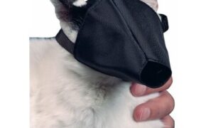 museruola gatti mikki