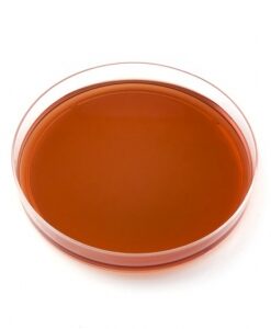 SS AGAR 20 ps
