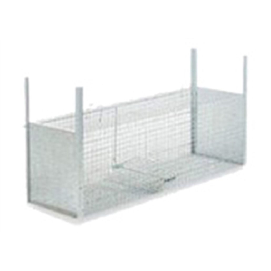 Viti In Titanio Per Gabbia Portaborraccia - M5 X 12mm, 3act, Adatte Elite, Carbon, FSA, Bontrager
