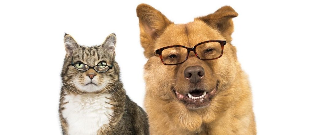 Prodotti Veterinari – Dyaset