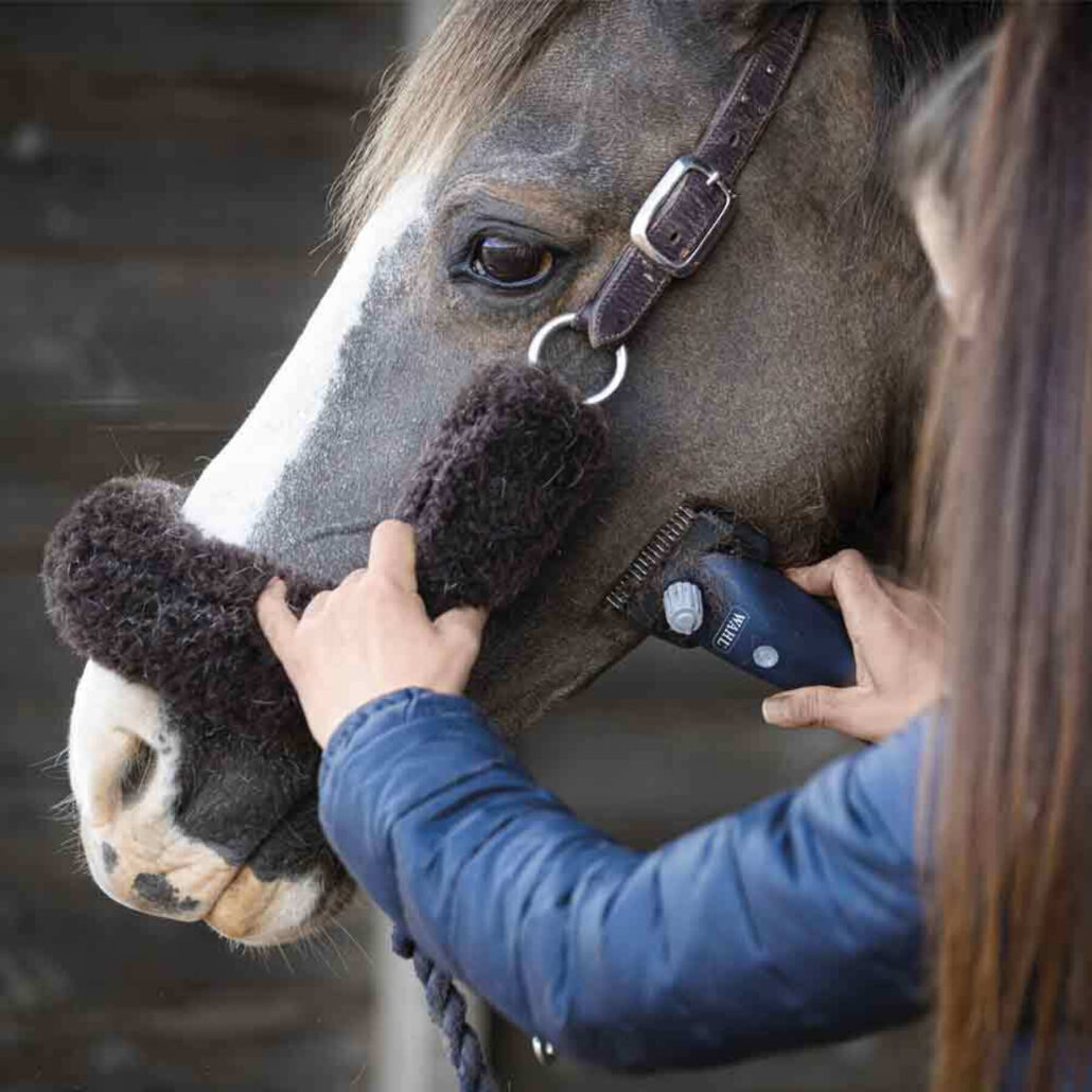 Prodotti Veterinari – Dyaset