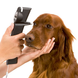 TONOMETRO VETERINARIO TONOVET iCARE - immagine 4